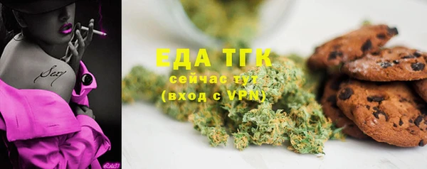 спайс Ельня