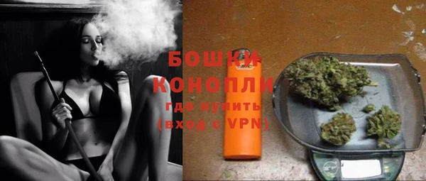 спайс Ельня