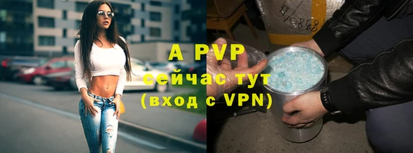 бошки Елабуга