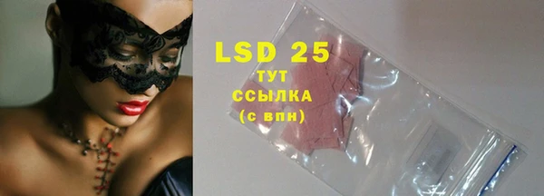 спайс Ельня
