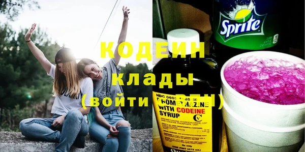 бошки Елабуга
