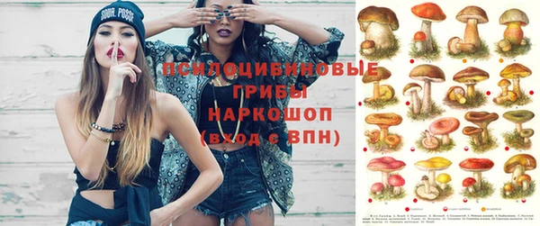 спайс Ельня
