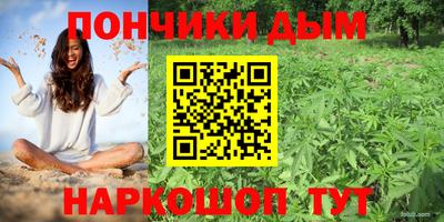прущие грибы Можга