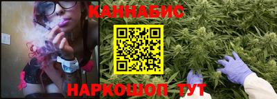 прущие грибы Можга