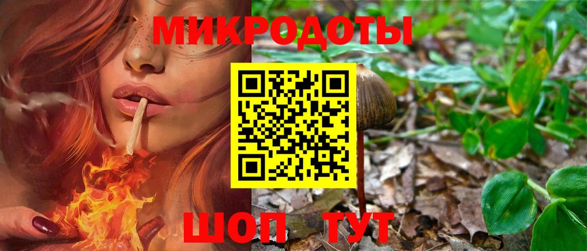 Псилоцибиновые грибы мухоморы Знаменск